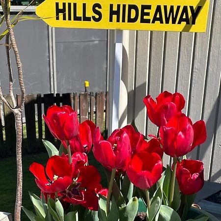 Hill'S Hideaway Hotel ดาร์กาวิลล์ ภายนอก รูปภาพ